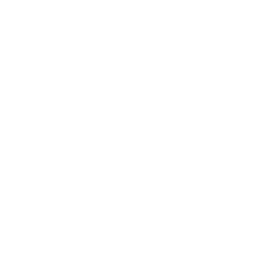 Multi-Panel Impact Damage