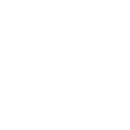 Front and Rear Collision Damage